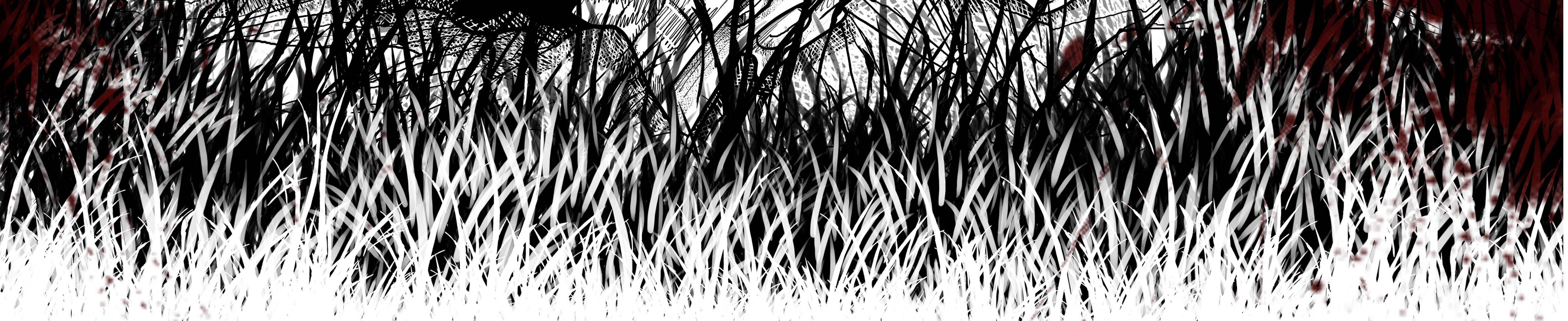 Image 53 Cut